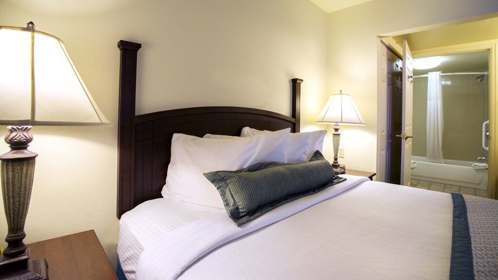 Staybridge Suites Denver International Airport By Ihg Eksteriør billede